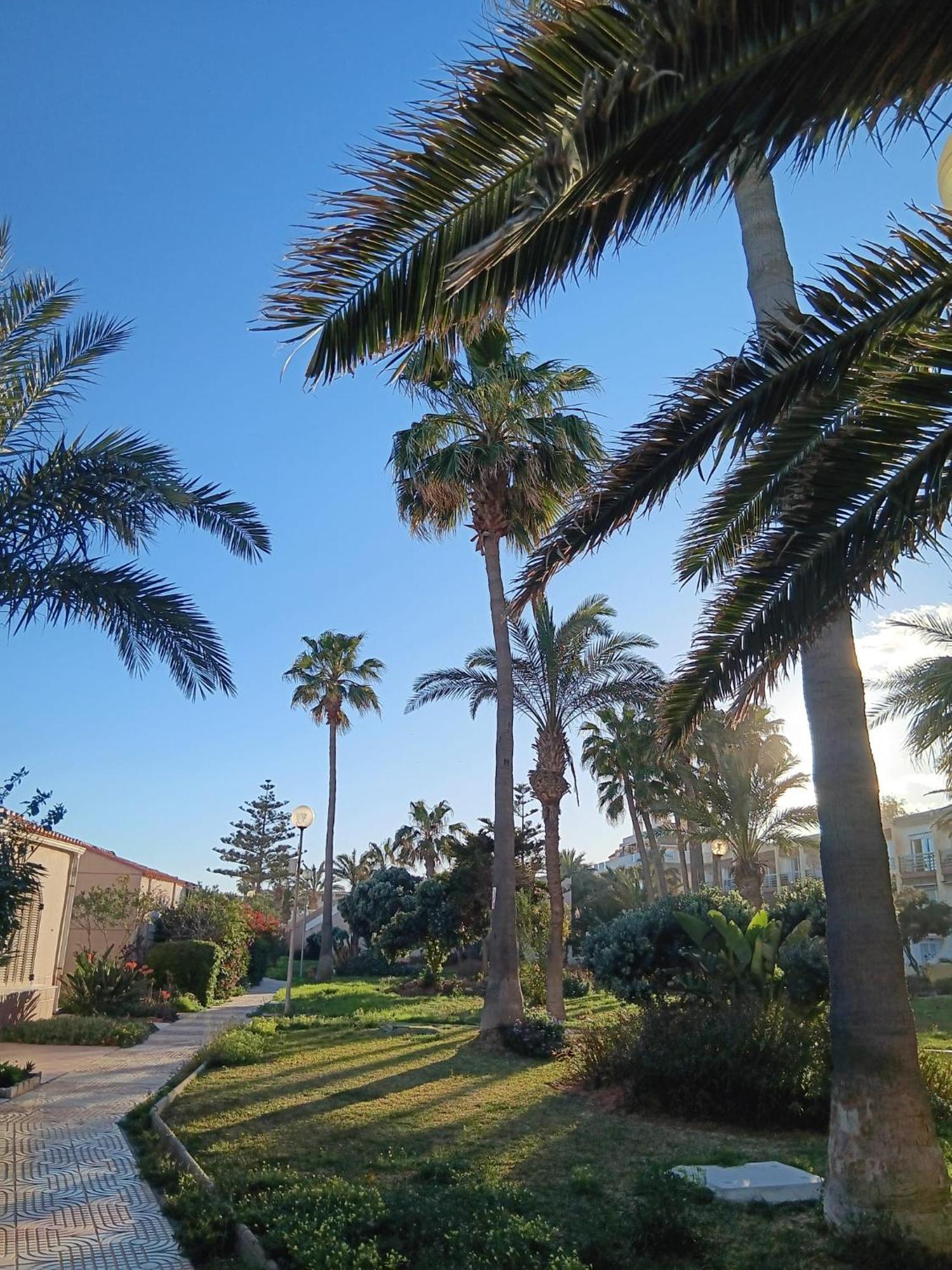Tropicana Playa Рокетас-де-Мар Экстерьер фото